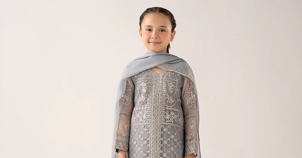3 Piece Embroidered Organza Suit - Image 8