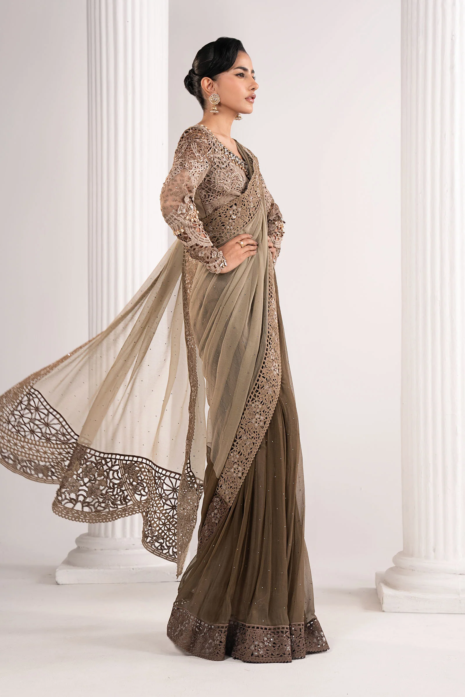 Embroidered Chiffon Saree - Image 8